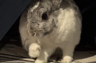 I touched the foot so it must be cleaned