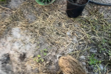 Another day another snack