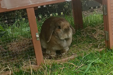 what a delicious loaf