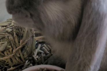 Simonposting: breakfast time!