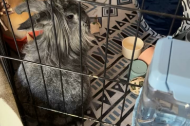 What is she doing? 🤣