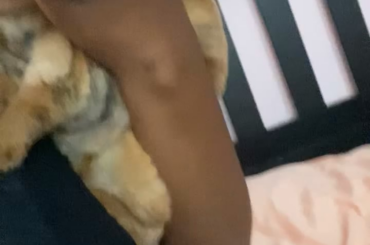 Don’t pick up your rabbits they say… Ruby is clearly built different 😅