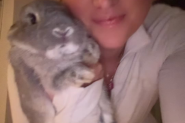 I had to show off how fluffy and round she looks in this