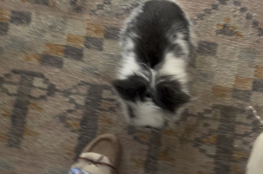 1⭐️ WAITRESS ACTS LIKE FIRST DAY ON EARTH