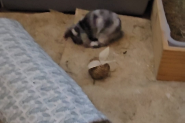 Is that a binky?