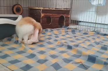 First ever binky recorded live