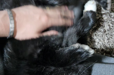 She just loves getting her tummy scratched