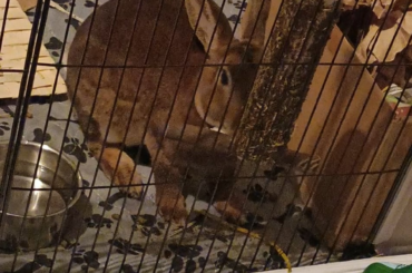baby smoko update!