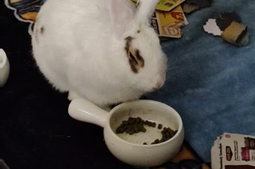 must taste better with her eyes closed?