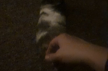 I touched the butt... he was not pleased.