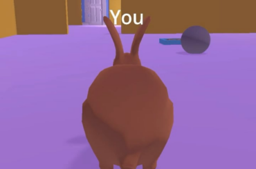 More completely normal rabbit behavior