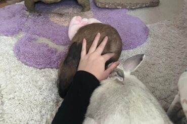 Who are you snuggling with today?