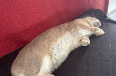 …I’ll sit on the floor AGAIN…