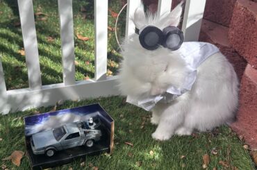 Great Scott!!