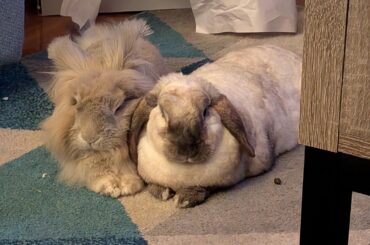 He has to be as close to her as possible