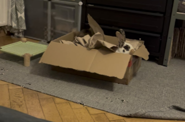 Zooooom