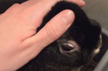 Eye scare?