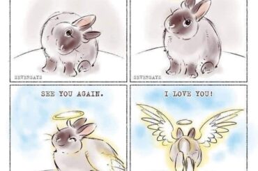Missing my Sweetie 🤎🖤🐰