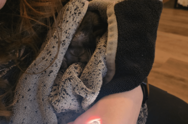 Tortured bunnies!!! (Nail clipping day)