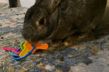 She’s got places to be