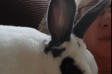 Bonnie