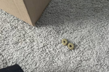 Miss Tiggles advent calendar!