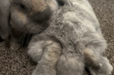 It’s like he knew I was going to boop his feets!