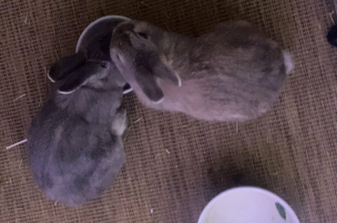 When they’re eating you can get away with anything