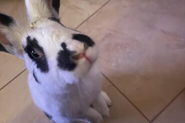 Did I hear crackers?