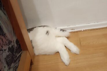 There has to be a better spot in this house,my guy