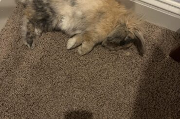 slumped