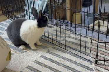 First binkies!