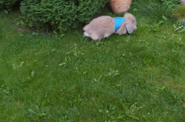 Was that a binky?????