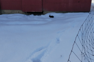 Void floof showed me his top secret hiding spot, don't tell anybody. | SparklegleamFarm