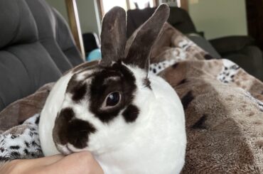 [oc] this is how we cuddle 🥰