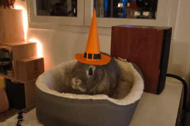 He was not so sure about the hat...