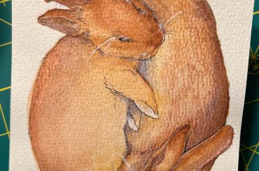 Copy paste bunnies in ink and watercolor pencil