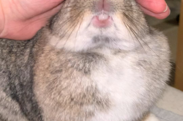Why does she insist on making this ugly face everytime I pet her