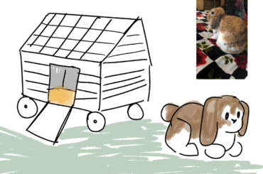 Additions for Rabbit Memorial?