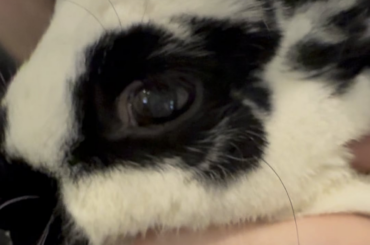 Anyone else do this?