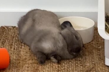Why sleeping like this ?