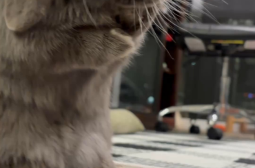 Pluto: “human just touched me, must wash up”