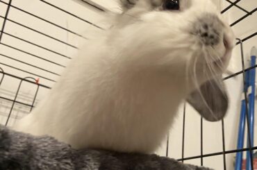 Enjoying her new mini castle