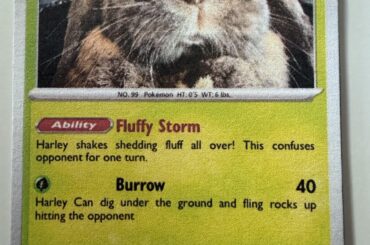 My neighbor’s daughter made me a custom “Pokemon” card of Harley!