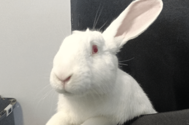 Sit down hoom, time for your performance review