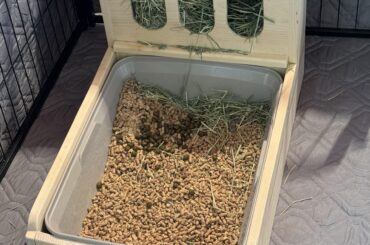 What can I put on top of my bunny’s hay rack to keep him off of it?
