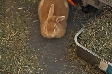 He loaf!😍