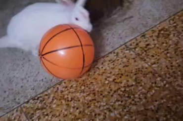 Can she be a footballer?