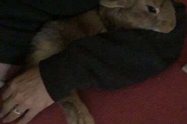 Best Cuddle Buddy!