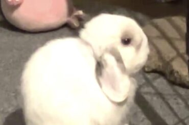 Why does he sit like this?
